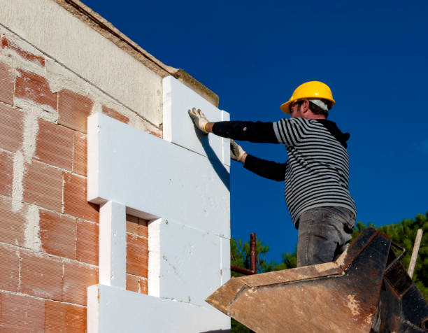 Best Residential Insulation in Donaldsonville, LA