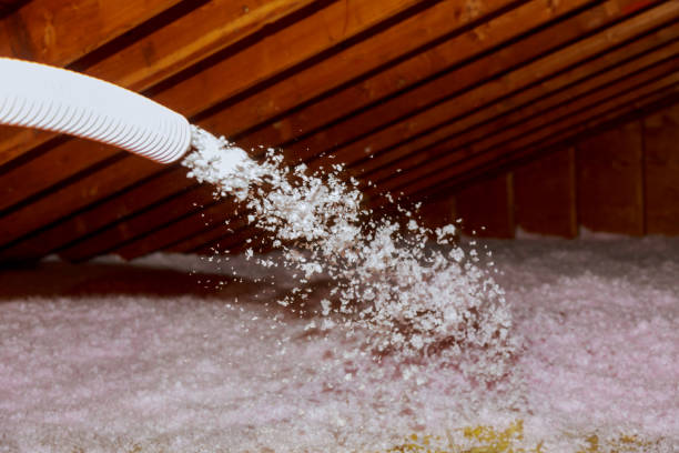 Best Geographic-Specific Insulation Services in Donaldsonville, LA