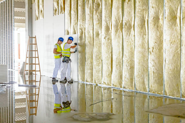 Best Insulation Maintenance and Repair in Donaldsonville, LA